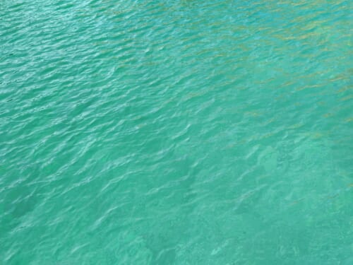 エターナルグリーンの綺麗な海